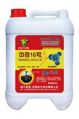 中勁16號(hào)微生物菌劑