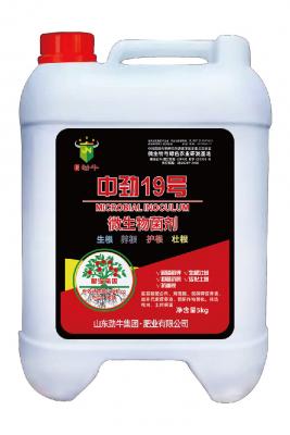中勁19號(hào)·發(fā)酵原液
